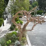 Gardens Pafos